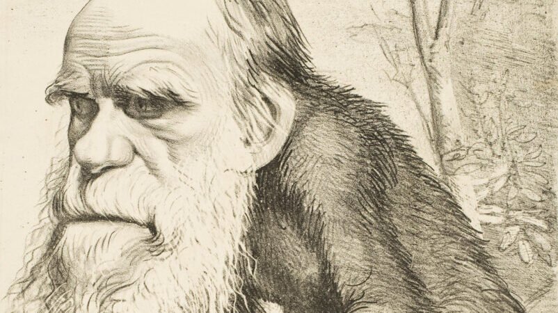 Ciao Darwin di Paolo Bonolis e la teoria evoluzionistica