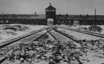 superstiti dell'olocausto: 5 storie incredibili