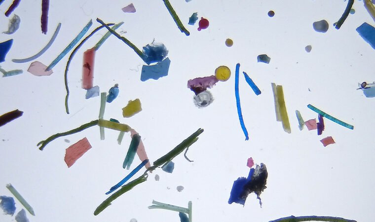Cosa sono le microplastiche