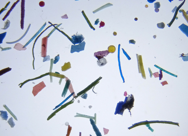 Cosa sono le microplastiche