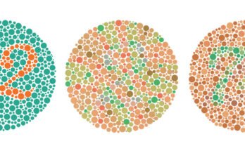 Come vedono i daltonici