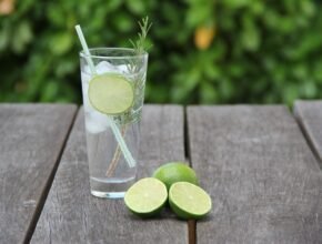 La storia del Gin tonic: da medicina a drink