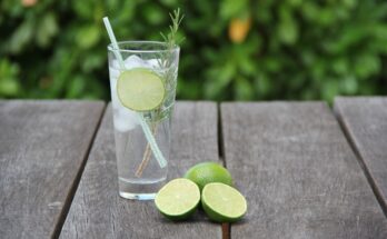 La storia del Gin tonic: da medicina a drink