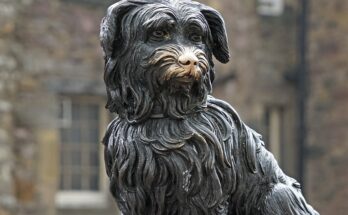 greyfriars bobby: il cane piu fedele di edimburgo