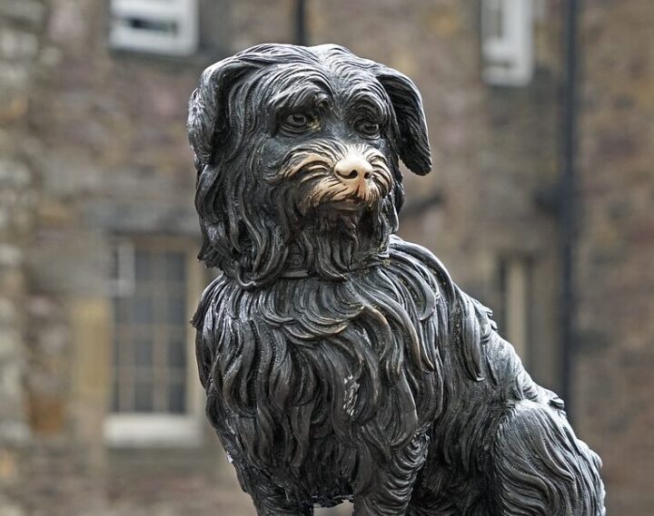 greyfriars bobby: il cane piu fedele di edimburgo