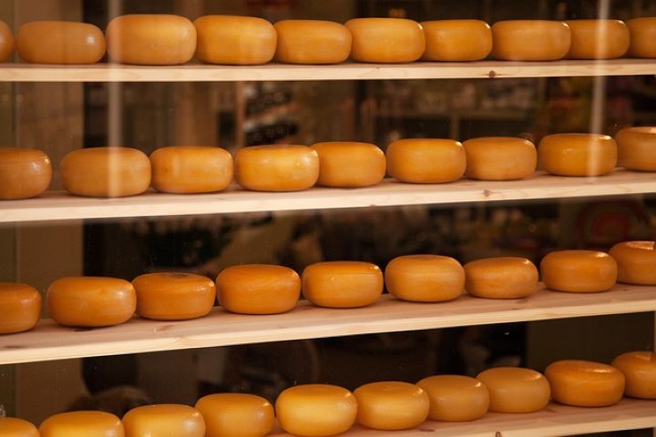 Piatti tipici di Amsterdam: 6 da assaggiare in Olanda