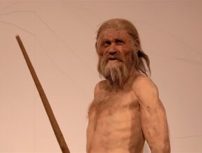 Musei da visitare a Bolzano, i 3 consigliati