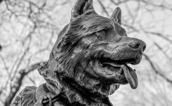 la storia di balto