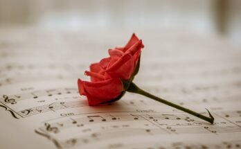 Canzoni di Gino Paoli: le 5 da conoscere