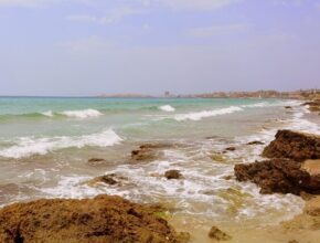 Respirare l'aria salmastra al mattino, il suono delle onde come colonna sonora quotidiana: ecco il sogno di molte persone che aspirano a trovare una casa al mare nella zona del leccese, in Puglia. Case fronte mare economiche nel Salento Il Salento, con i suoi chilometri di costa rocciosa e mare cristallino, offre occasioni imperdibili per chi cerca un immobile fronte mare a prezzi ragionevoli. Da santa Maria di Leuca a Torre dell'orso, si trovano presso le agenzie immobiliari del luogo molte opportunità di case al mare in vendita nel leccese per chi sogna una abitazione accogliente da cui ammirare l'orizzonte marino, senza dover spendere cifre astronomiche per il suo acquisto. Case in vendita in Salento fronte mare Immaginate di svegliarvi e fare colazione su una terrazza vista mare. Le case in vendita nel Salento fronte mare promettono questo e molto altro. La richiesta è variegata: piccoli appartamenti per le vacanze estive, ampie residenze per chi decide di trasferirsi in questa terra antica, tra sole, mare e vento. Ville in vendita Salento, fronte mare Per chi ambisce a qualcosa di più esclusivo, le agenzie immobiliari pugliesi offrono anche lussuose ville fronte mare nel Salento e in altre zone sul mare. Con ampi giardini, accesso privato alla spiaggia e piscine a sfioro che si fondono con l’azzurro del mare, queste proprietà sono piccoli paradisi terrestri dove lusso e natura si incontrano, per farvi vivere delle vacanze da sogno. Case in vendita sul lungomare leccese Il lungomare del leccese riserva sempre nuove sorprese immobiliari. Case e palazzine con vista aperta sul mare, spesso a pochi passi dalla spiaggia, rappresentano un ottimo compromesso tra comodità e vicinanza ai principali servizi e la tranquillità di un panorama che non ha prezzo. Case fronte mare economiche in Puglia Non solo nel Salento, ma in tutta la Puglia si possono scoprire affascinanti dimore in località di mare e anche proprio fronte mare. Se siete alla ricerca di qualcosa di economico, è bene mantenere gli occhi aperti per offerte e occasioni speciali presso le migliori agenzie di compravendita immobili, dove si può fare un vero affare e garantirsi così un tranquillo e privato angolo di paradiso in queste splendide zone molto gettonate per il turismo estivo ma non solo. Acquistare una casa fronte mare nel leccese è più di un investimento immobiliare; è l'acquisto di una porzione di sogno, di vita in uno dei paesaggi più suggestivi d'Italia. Prima di intraprendere questa avventura, è essenziale affidarsi a professionisti del settore per esplorare tutte le opzioni e le relative implicazioni legali e burocratiche, così da rendere l'esperienza di acquisto serena e conquistare la vostra fetta di paradiso pugliese.