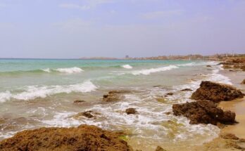 Respirare l'aria salmastra al mattino, il suono delle onde come colonna sonora quotidiana: ecco il sogno di molte persone che aspirano a trovare una casa al mare nella zona del leccese, in Puglia. Case fronte mare economiche nel Salento Il Salento, con i suoi chilometri di costa rocciosa e mare cristallino, offre occasioni imperdibili per chi cerca un immobile fronte mare a prezzi ragionevoli. Da santa Maria di Leuca a Torre dell'orso, si trovano presso le agenzie immobiliari del luogo molte opportunità di case al mare in vendita nel leccese per chi sogna una abitazione accogliente da cui ammirare l'orizzonte marino, senza dover spendere cifre astronomiche per il suo acquisto. Case in vendita in Salento fronte mare Immaginate di svegliarvi e fare colazione su una terrazza vista mare. Le case in vendita nel Salento fronte mare promettono questo e molto altro. La richiesta è variegata: piccoli appartamenti per le vacanze estive, ampie residenze per chi decide di trasferirsi in questa terra antica, tra sole, mare e vento. Ville in vendita Salento, fronte mare Per chi ambisce a qualcosa di più esclusivo, le agenzie immobiliari pugliesi offrono anche lussuose ville fronte mare nel Salento e in altre zone sul mare. Con ampi giardini, accesso privato alla spiaggia e piscine a sfioro che si fondono con l’azzurro del mare, queste proprietà sono piccoli paradisi terrestri dove lusso e natura si incontrano, per farvi vivere delle vacanze da sogno. Case in vendita sul lungomare leccese Il lungomare del leccese riserva sempre nuove sorprese immobiliari. Case e palazzine con vista aperta sul mare, spesso a pochi passi dalla spiaggia, rappresentano un ottimo compromesso tra comodità e vicinanza ai principali servizi e la tranquillità di un panorama che non ha prezzo. Case fronte mare economiche in Puglia Non solo nel Salento, ma in tutta la Puglia si possono scoprire affascinanti dimore in località di mare e anche proprio fronte mare. Se siete alla ricerca di qualcosa di economico, è bene mantenere gli occhi aperti per offerte e occasioni speciali presso le migliori agenzie di compravendita immobili, dove si può fare un vero affare e garantirsi così un tranquillo e privato angolo di paradiso in queste splendide zone molto gettonate per il turismo estivo ma non solo. Acquistare una casa fronte mare nel leccese è più di un investimento immobiliare; è l'acquisto di una porzione di sogno, di vita in uno dei paesaggi più suggestivi d'Italia. Prima di intraprendere questa avventura, è essenziale affidarsi a professionisti del settore per esplorare tutte le opzioni e le relative implicazioni legali e burocratiche, così da rendere l'esperienza di acquisto serena e conquistare la vostra fetta di paradiso pugliese.