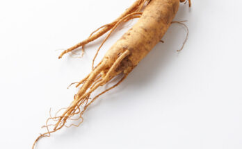 Ginseng in polvere: caratteristiche e benefici per la salute