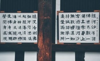 Studiare cinese: 4 consigli utili per apprendere al meglio la lingua