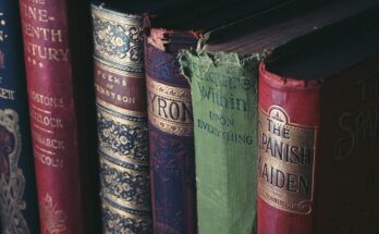 Libri fantasy del booktok: i 3 più famosi