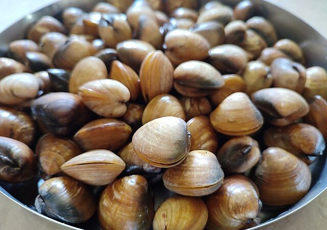 Il tortino di vongole: una gustosa ricetta alternativa