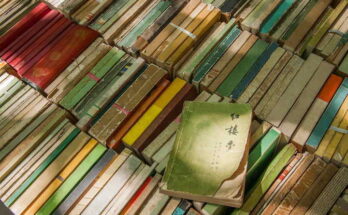 Romanzi coreani: 5 libri da leggere se amanti della Corea