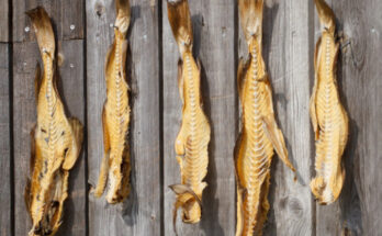 Gastronomia islandese: 5 piatti tipici