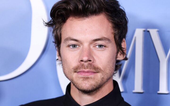 Film con Harry Styles