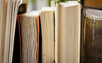 Il XIX secolo è stato un periodo di straordinaria fioritura letteraria, che ha visto nascere alcuni dei romanzi del 1800 più importanti e influenti della storia. Questi romanzi del 1800, caratterizzati da una grande attenzione ai sentimenti, alle emozioni, alla psicologia dei personaggi e alla rappresentazione della società, continuano a essere letti e apprezzati ancora oggi. In questo articolo, ti proponiamo una selezione di romanzi del 1800, classici imperdibili che offrono uno spaccato della vita, dei valori e delle contraddizioni di un'epoca affascinante. Jane Eyre di Charlotte Brontë: un romanzo di formazione vittoriano Jane Eyre, pubblicato nel 1847 da Charlotte Brontë sotto lo pseudonimo di Currer Bell, è uno dei romanzi del 1800 più amati e letti. È un romanzo di formazione che segue la vita di Jane Eyre, un'orfana che, dopo un'infanzia difficile, trova lavoro come istitutrice presso la dimora di Thornfield Hall. Qui si innamora del suo datore di lavoro, il misterioso Mr. Rochester, ma la loro storia d'amore è ostacolata da segreti e colpi di scena. Un classico tra i romanzi del 1800. Trama, temi e significato di Jane Eyre: un'eroina indimenticabile Jane Eyre è molto più di una semplice storia d'amore. È un romanzo che affronta temi importanti come la condizione femminile nell'epoca vittoriana, la ricerca dell'indipendenza e dell'autonomia, la lotta contro le convenzioni sociali, il conflitto tra passione e ragione, e il significato della moralità e della religione. Jane Eyre è un'eroina forte, indipendente e appassionata, che sfida le convenzioni del suo tempo e lotta per affermare la propria identità. È sicuramente uno tra i romanzi del 1800 più significativi. L'Educazione Sentimentale di Gustave Flaubert: amore e disillusione nella Parigi del XIX secolo L'Educazione Sentimentale, pubblicato nel 1869 da Gustave Flaubert, è uno dei romanzi del 1800 più importanti della letteratura francese. È la storia di Frédéric Moreau, un giovane di provincia che si trasferisce a Parigi per studiare legge, ma che si lascia coinvolgere dalla vita mondana e dalle passioni amorose. Frédéric si innamora di Madame Arnoux, una donna sposata, e la sua ossessione per lei lo porterà a trascurare i suoi studi e le sue ambizioni. Uno tra i più importanti romanzi del 1800. Analisi e contesto storico de L'Educazione Sentimentale L'Educazione Sentimentale è considerato un romanzo realista, che offre un ritratto accurato e spietato della società francese del XIX secolo, in particolare della borghesia parigina. Flaubert descrive con maestria le illusioni, le delusioni, le ambizioni e le frustrazioni di una generazione che ha vissuto i rivolgimenti politici e sociali del 1848. Il romanzo è anche una riflessione sulla natura dell'amore, dell'arte e della vita stessa. Tra i romanzi del 1800, questo si distingue per la prosa. Sotto gli Alberi di Thomas Hardy: un idillio pastorale con un retrogusto amaro Sotto gli Alberi (Under the Greenwood Tree), pubblicato nel 1872 da Thomas Hardy, è uno dei primi romanzi del 1800 dello scrittore inglese, e uno dei suoi più sereni e ottimisti. È la storia di Dick Dewy, un giovane carrettiere che si innamora di Fancy Day, la nuova maestra del villaggio. La loro storia d'amore si intreccia con le vicende della comunità rurale di Mellstock, nel Wessex, la regione immaginaria in cui Hardy ambienta molti dei suoi romanzi. Natura, amore e destino in Sotto gli Alberi Sotto gli Alberi è un romanzo che celebra la bellezza della natura e la vita semplice della campagna inglese. Hardy descrive con grande maestria i paesaggi, i costumi, le tradizioni e i personaggi del mondo rurale, creando un'atmosfera idilliaca e suggestiva. Tuttavia, il romanzo non è privo di una vena malinconica e di una riflessione sul destino umano e sull'inesorabile scorrere del tempo. Tra i romanzi del 1800 è uno dei più importanti per la sua rappresentazione della natura. Vanity Fair di William Makepeace Thackeray: una satira spietata della società vittoriana Vanity Fair, pubblicato a puntate tra il 1847 e il 1848 da William Makepeace Thackeray, è uno dei romanzi del 1800 più importanti e irriverenti della letteratura inglese. Sottotitolato "A Novel without a Hero" (Un romanzo senza eroe), il libro è una satira pungente e spietata della società vittoriana, con i suoi vizi, le sue ipocrisie, le sue ambizioni e le sue vanità. La storia segue le vicende parallele di due donne molto diverse: Amelia Sedley, una ragazza ingenua e di buon cuore, e Becky Sharp, un'arrampicatrice sociale astuta e senza scrupoli. Personaggi, stile e critica sociale in Vanity Fair Vanity Fair è un romanzo ricco di personaggi memorabili, descritti con ironia e sarcasmo da Thackeray. L'autore non risparmia nessuno, mettendo a nudo le debolezze e le meschinità dell'aristocrazia e della borghesia inglese. Il romanzo è anche un'importante testimonianza storica, che offre uno spaccato della vita e dei costumi dell'epoca. È uno dei romanzi del 1800 più importanti per la sua valenza sociale. Middlemarch di George Eliot: un affresco corale della vita di provincia Middlemarch, pubblicato tra il 1871 e il 1872 da George Eliot (pseudonimo di Mary Ann Evans), è considerato uno dei più grandi romanzi del 1800 della letteratura inglese. È un romanzo corale, che intreccia le storie di diversi personaggi che vivono nella cittadina immaginaria di Middlemarch, nelle Midlands, durante gli anni Trenta del XIX secolo. Il romanzo affronta temi come il matrimonio, la religione, la politica, la scienza, l'arte e la condizione femminile. Temi, struttura e importanza di Middlemarch nella letteratura inglese Middlemarch è un romanzo ambizioso e complesso, che offre un ritratto dettagliato e realistico della società inglese del XIX secolo. George Eliot analizza con profondità psicologica i suoi personaggi, esplorando le loro motivazioni, i loro conflitti interiori e le loro relazioni. Il romanzo è anche una riflessione sulla natura umana, sul progresso, sul cambiamento sociale e sul ruolo dell'individuo nella storia. È uno dei romanzi del 1800 più importanti per la sua completezza e profondità. I Fratelli Karamazov di Fëdor Dostoevskij: un capolavoro russo Tra i romanzi del 1800 più importanti e influenti, non si può non citare "I Fratelli Karamazov" di Fëdor Dostoevskij. Pubblicato nel 1880, è l'ultimo romanzo dello scrittore russo, considerato da molti il suo capolavoro e uno dei vertici della letteratura mondiale. La storia ruota attorno al parricidio di Fëdor Karamazov e alle vicende dei suoi tre figli legittimi (Dmitrij, Ivan e Alëša) e del figlio illegittimo Smerdjakov. Approfondimento su: I fratelli Karamazov "I Fratelli Karamazov" è molto più di un romanzo giallo o di un dramma familiare. È un'opera profondamente filosofica, che affronta temi cruciali come l'esistenza di Dio, il libero arbitrio, la colpa, il peccato, la redenzione, la natura del male e il significato della sofferenza. Dostoevskij esplora le profondità dell'animo umano, mettendo a nudo le passioni, i conflitti interiori e le contraddizioni dei suoi personaggi. Il rosso e il nero di Stendhal: un classico francese Altro grande classico tra i romanzi del 1800 è "Il rosso e il nero" di Stendhal, pubblicato nel 1830. Il romanzo narra le vicende di Julien Sorel, un giovane di umili origini che, grazie alla sua intelligenza e ambizione, riesce a farsi strada nella società francese post-napoleonica. Diviso tra l'ammirazione per Napoleone e il desiderio di ascesa sociale, Julien intraprende la carriera ecclesiastica e quella militare, intrecciando relazioni amorose con donne potenti. Approfondimento su: Il rosso e il nero "Il rosso e il nero" è un romanzo di formazione, ma anche un'acuta analisi psicologica e una critica della società francese della Restaurazione, con le sue ipocrisie e le sue rigide gerarchie sociali. Stendhal, attraverso il suo stile asciutto e analitico, delinea un personaggio complesso e affascinante, diviso tra l'ambizione, l'amore e l'ideale di grandezza. Il titolo stesso, "Il rosso e il nero", è emblematico di questa ambivalenza, rappresentando le due possibili carriere di Julien (quella militare, in rosso, e quella ecclesiastica, in nero) o, secondo altre interpretazioni, la passione e la morte. Fonte dell'immagine in evidenza: Pixabay.