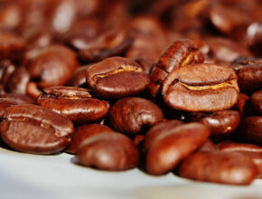 Kopi Luwak: il caffè prodotto dal musang