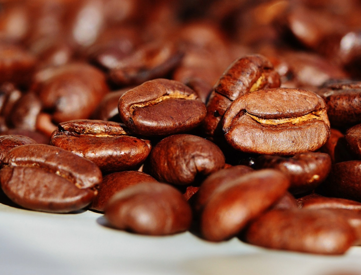 Kopi Luwak: il caffè prodotto dal musang