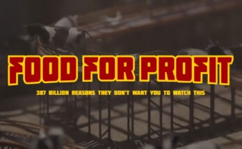 Food for Profit: l'orrore degli allevamenti intensivi