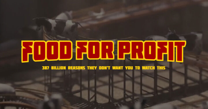 Food for Profit: l'orrore degli allevamenti intensivi