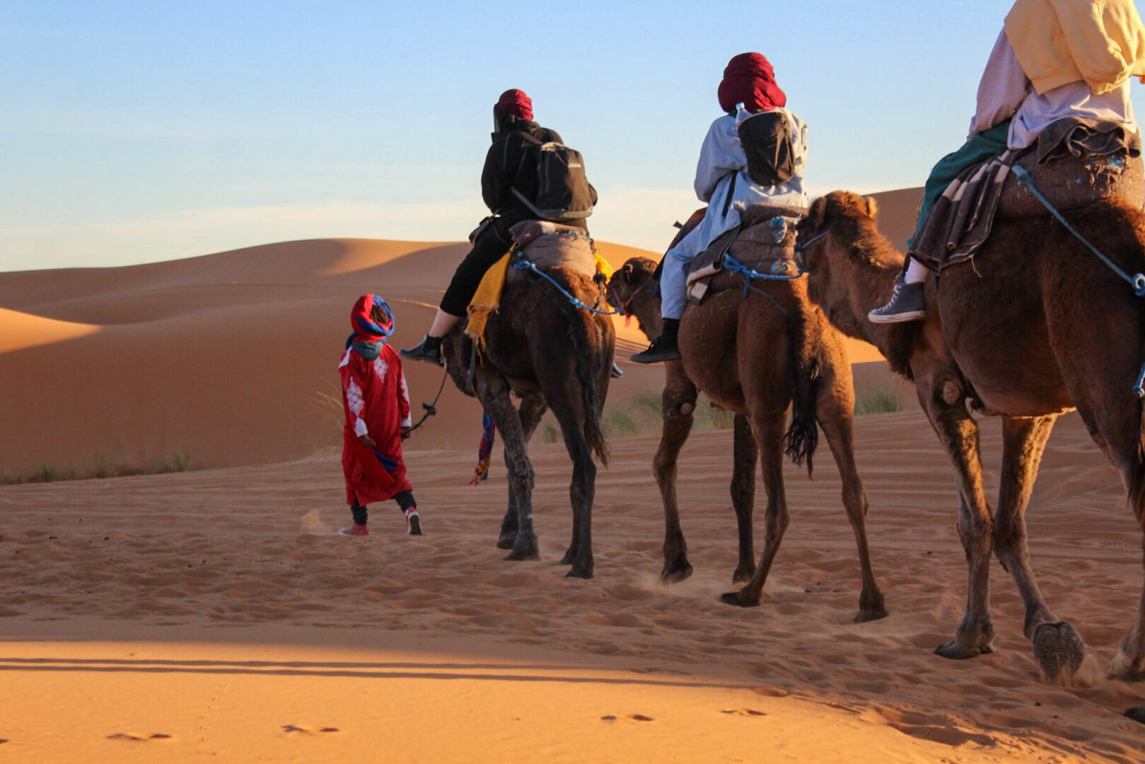 Deserto del Sahara: tour ed escursioni consigliate