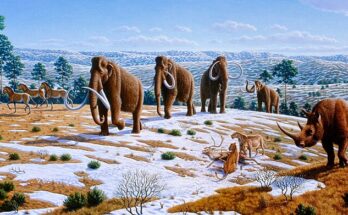 Animali antichi estinti. Immagine di Mauricio Anton.