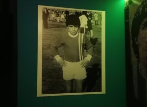 DIEGO VIVE