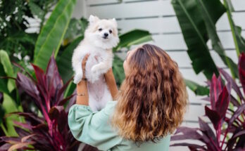 Piante tossiche per animali: 8 che potresti avere in casa