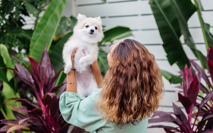 Piante tossiche per animali: 8 che potresti avere in casa