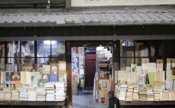 Libri sul Giappone.