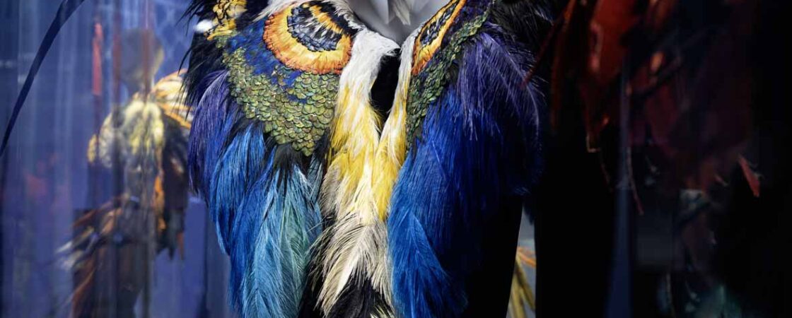 Rara Avis, moda in volo