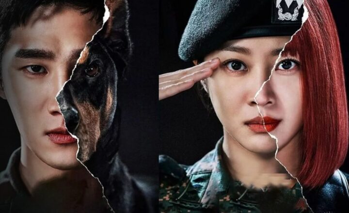 Military prosecutor doberman