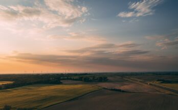 sostenibilità ambientale