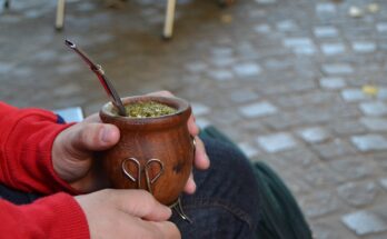 Curiosità sul mate argentino: 7 da scoprire.