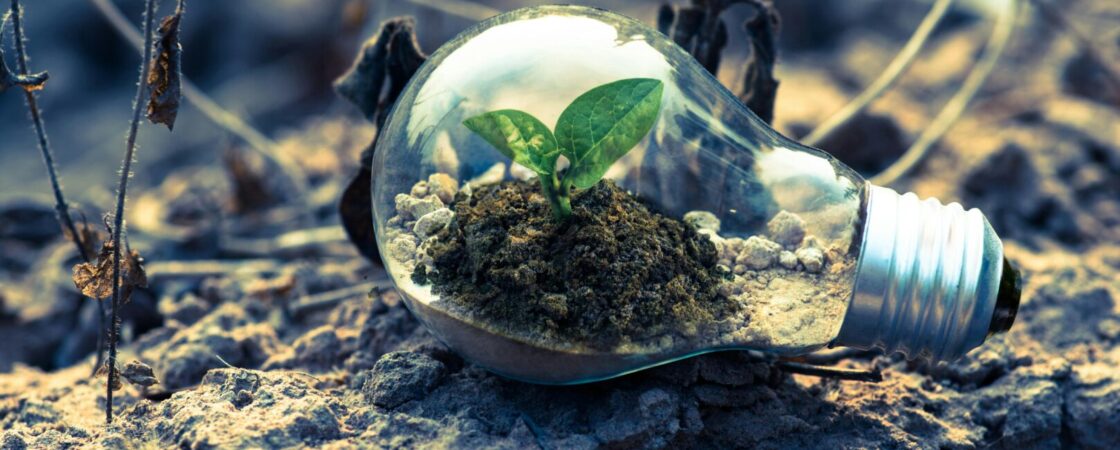 Come migliorare un ambiente domestico per renderlo tecnologico ed eco-friendly
