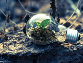 Come migliorare un ambiente domestico per renderlo tecnologico ed eco-friendly