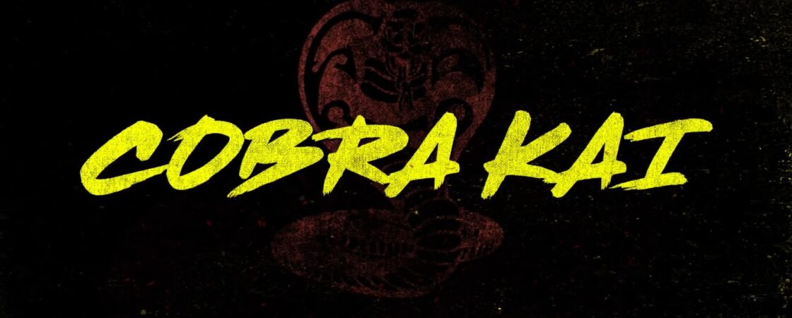 Cobra Kai: Stagione 5 | Recensione