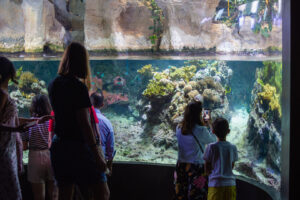 L’Acquario di Genova: storia, informazioni e prezzi