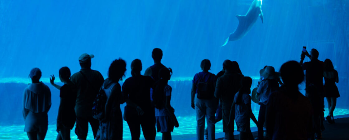 L’Acquario di Genova: storia, informazioni e prezzi