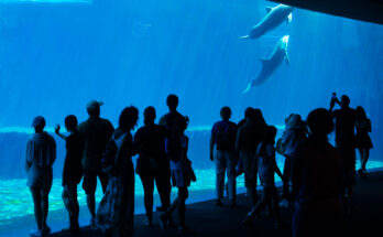 L’Acquario di Genova: storia, informazioni e prezzi