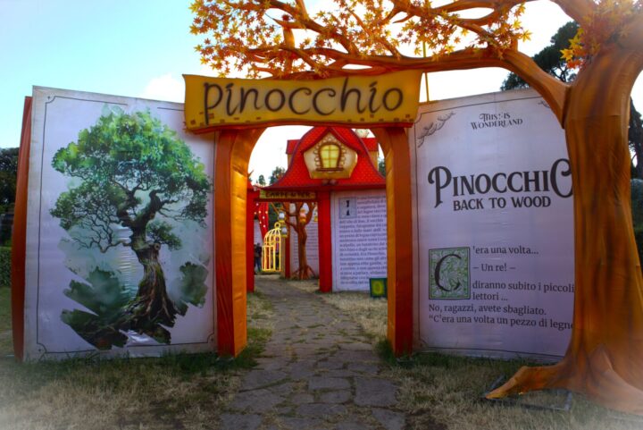 pinocchio back to wood