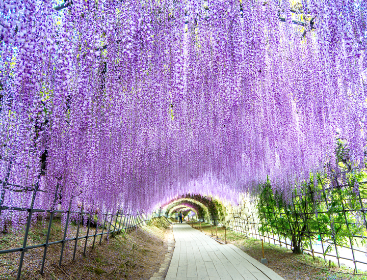 Meraviglie del mondo: 10 da visitare