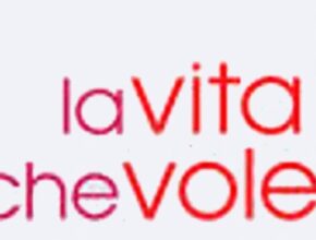 La vita che volevi - Locandina