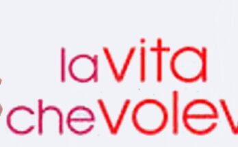 La vita che volevi - Locandina