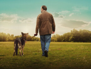 After life (Serie tv, 2019) | Recensione