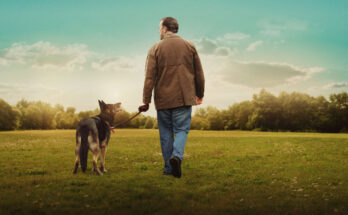 After life (Serie tv, 2019) | Recensione