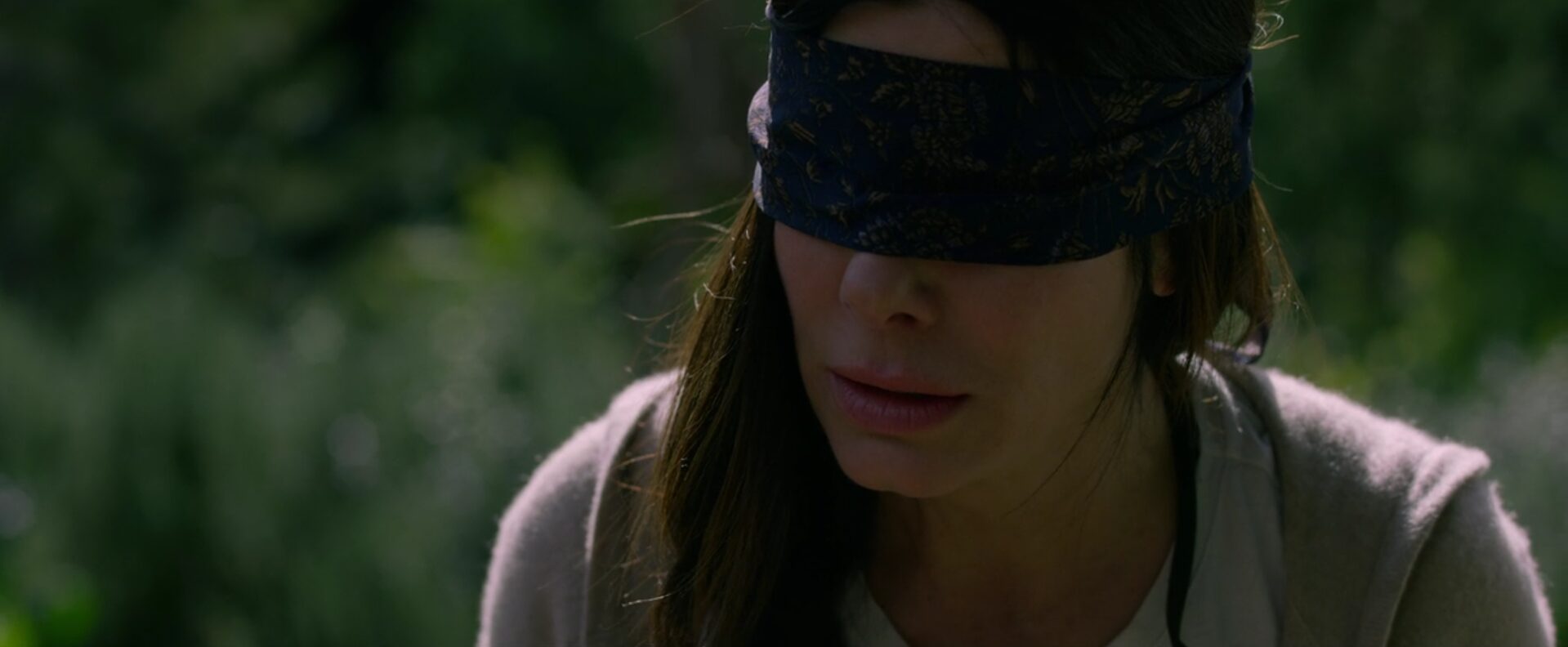 Film Netflix Bird Box | Recensione